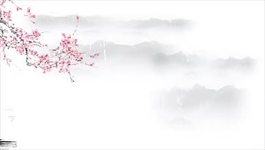 简约唯美的二十四节气之谷雨展示宣传片头视频的预览图